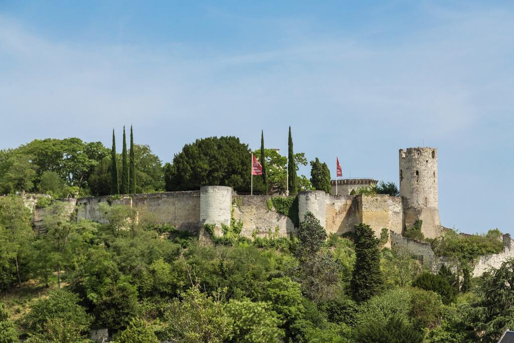 Residence Prestige Odalys Le Clos Saint Michel Chinon Exteriör bild